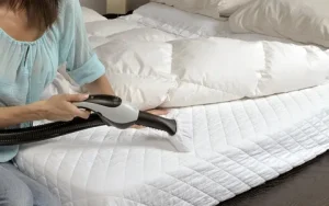 Professional Mattress Cleaners JVC