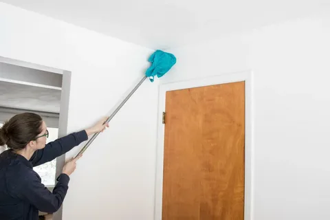 Best Apartment Cleaning from Marina